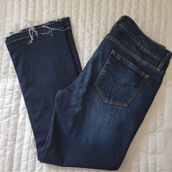 Vigoss "The Chelsea" Crop Straight Jeans - Excellent condition! - Picture 2 of 3